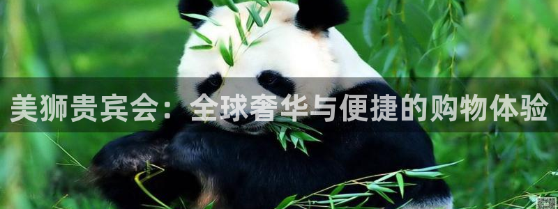 mg不朽情缘炸