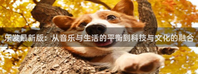 不朽情缘5滴血70万