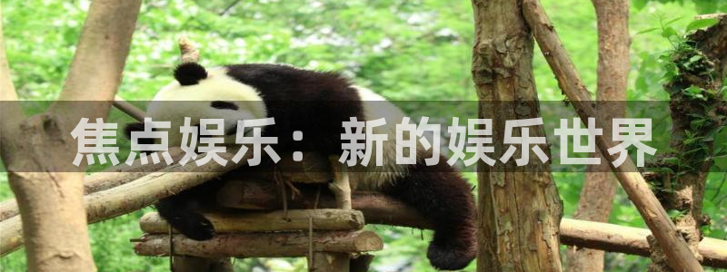 mg不朽情缘官网：焦点娱乐：新的娱乐世界