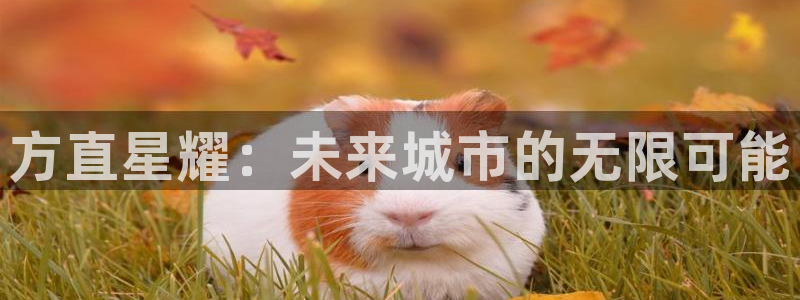 mg不朽情缘5滴血大奖：方直星耀：未来城市的无限可能