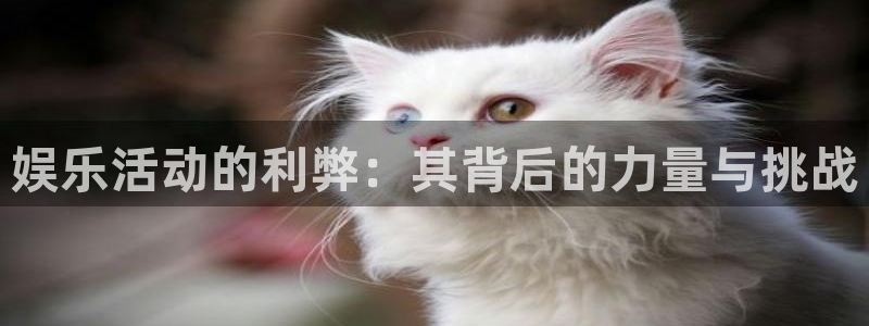 mg不朽情缘元爆万