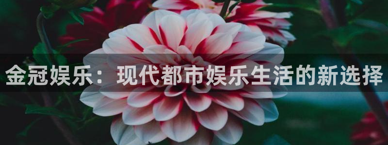 mg电子不朽情缘：金冠娱乐：现代都市娱乐生活的新选择