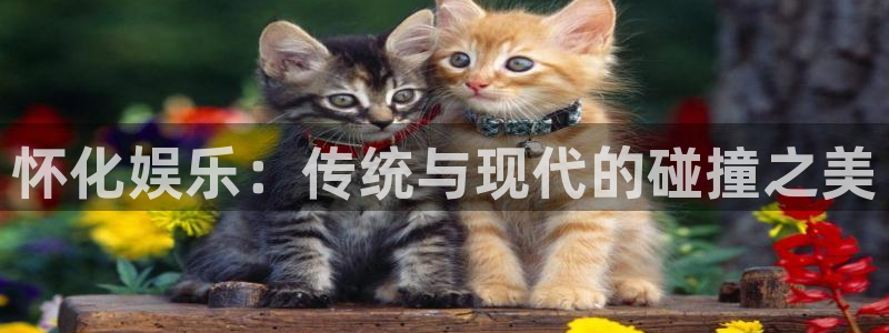 mg不朽情缘怎么玩：怀化娱乐：传统与现代的碰撞之美
