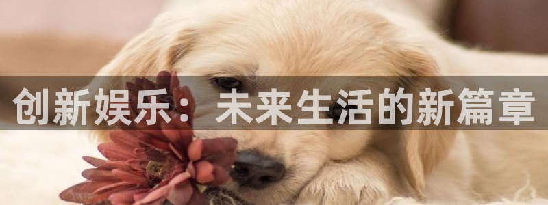 mg不朽情缘下载：创新娱乐：未来生活的新篇章