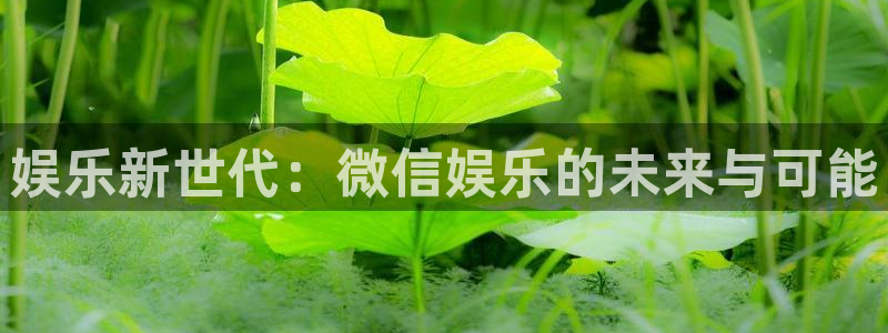 mg游戏不朽情缘在线：娱乐新世代：微信娱乐的未来与可能