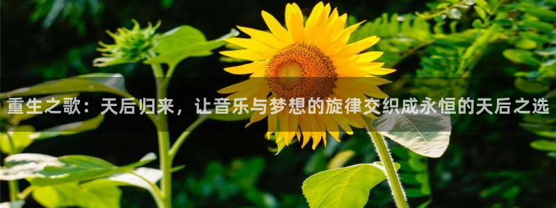 mg不朽情缘：重生之歌：天后归来，让音乐与梦想的旋律交织成永恒的天后之选