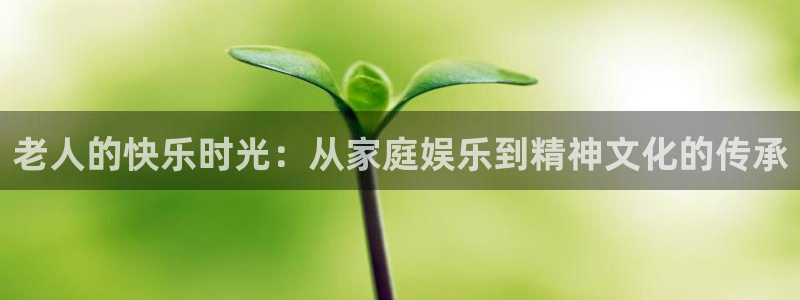 不朽情缘5滴血图片：老人的快乐时光：从家庭娱乐到精神文化的传承