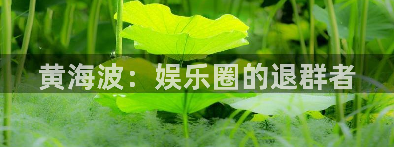 mg不朽情缘怎么玩：黄海波：娱乐圈的退群者