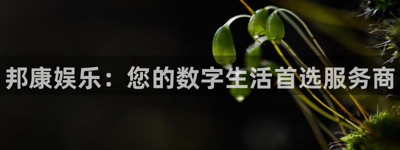 mg不朽情缘试玩：邦康娱乐：您的数字生活首选服务商