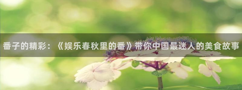 不朽情缘5滴血：番子的精彩：《娱乐春秋里的番》带你中国最迷人的美食故事
