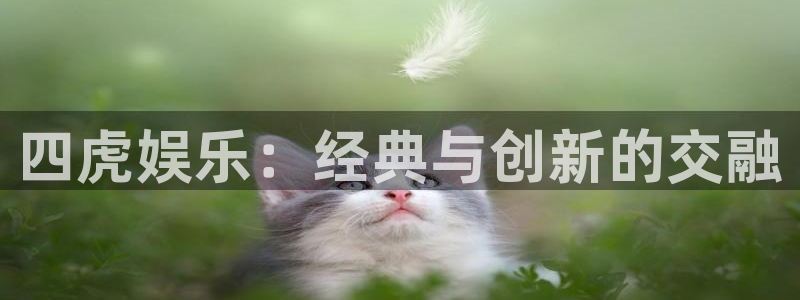 不朽情缘5滴血70万：四虎娱乐：经典与创新的交融