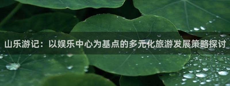 mg不朽情缘稳赢：山乐游记：以娱乐中心为基点的多元化旅游发展策略探讨