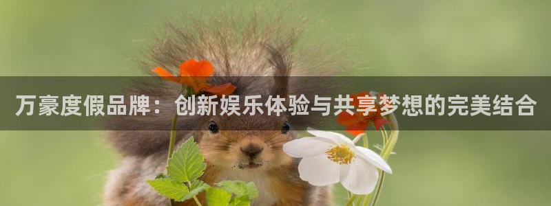 mg不朽情缘手机游戏：万豪度假品牌：创新娱乐体验与共享梦想的完美结合