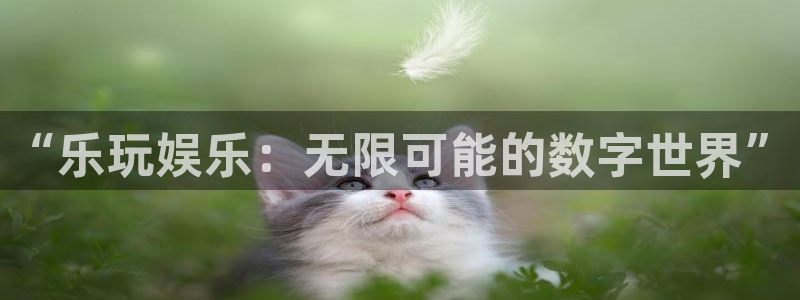 mg不朽情缘怎么玩：“乐玩娱乐：无限可能的数字世界”
